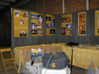 The CFA Intertional Cat Show